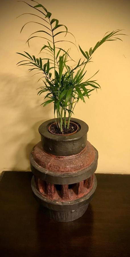 Loft 80 Mts En Un Entorno Natural. Mieres  Bagian luar foto