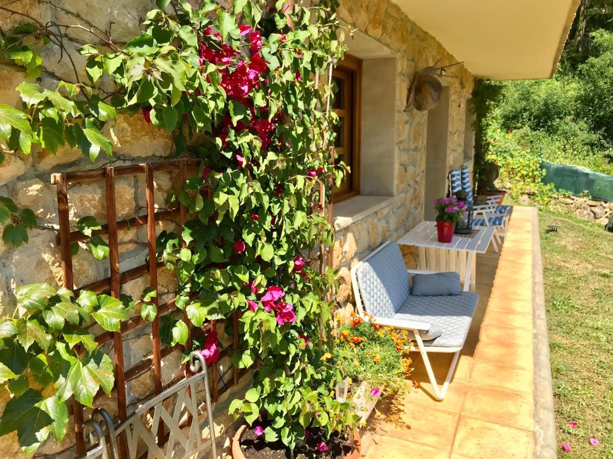 Loft 80 Mts En Un Entorno Natural. Mieres  Bagian luar foto
